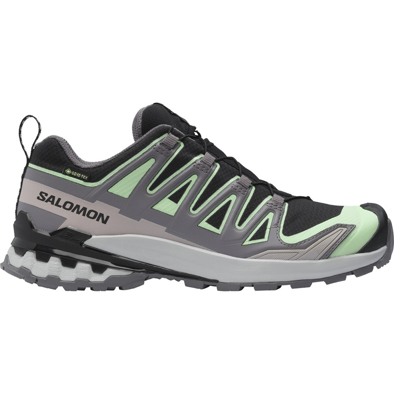 Salomon Ws XA Pro 3D V9 GTX - Black/PatinaGreen/GreyViolet