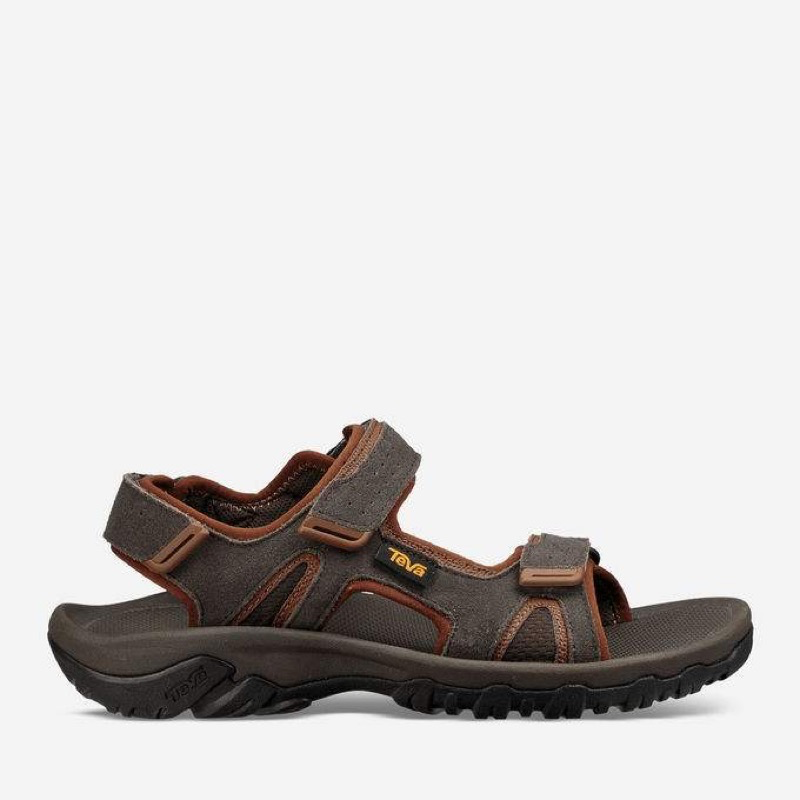 Teva 1019192 Ms Katavi 2