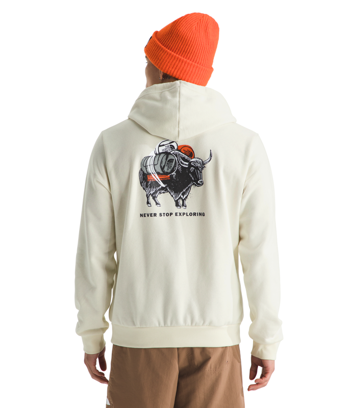 The North Face Mens Evolution Vault Tri Pack Hoodie - NF0A8FNC