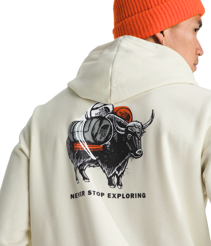 The North Face Mens Evolution Vault Tri Pack Hoodie - NF0A8FNC