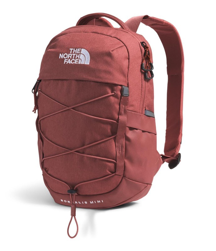 The North Face NF0A52SW Borealis Mini Backpack