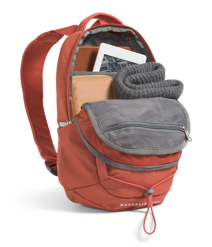 The North Face NF0A52SW Borealis Mini Backpack