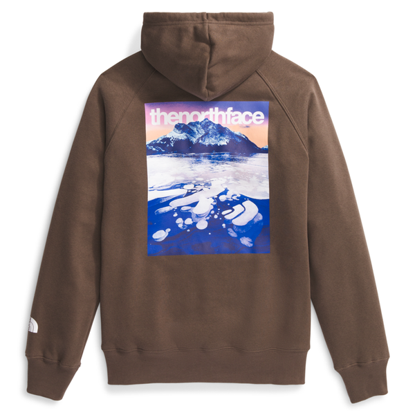 The North Face NF0A8B07 Ws Suspended Hoodie - 1OI Smokey Brown / S