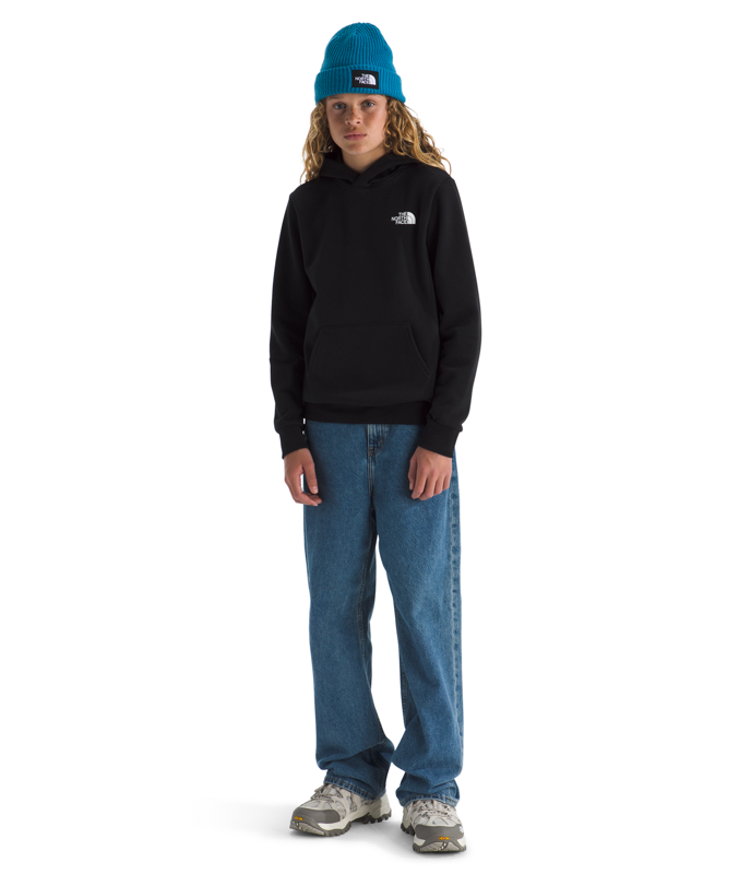 The North Face NF0A8CV5 Teen Evolution NSE Pullover Hoodie
