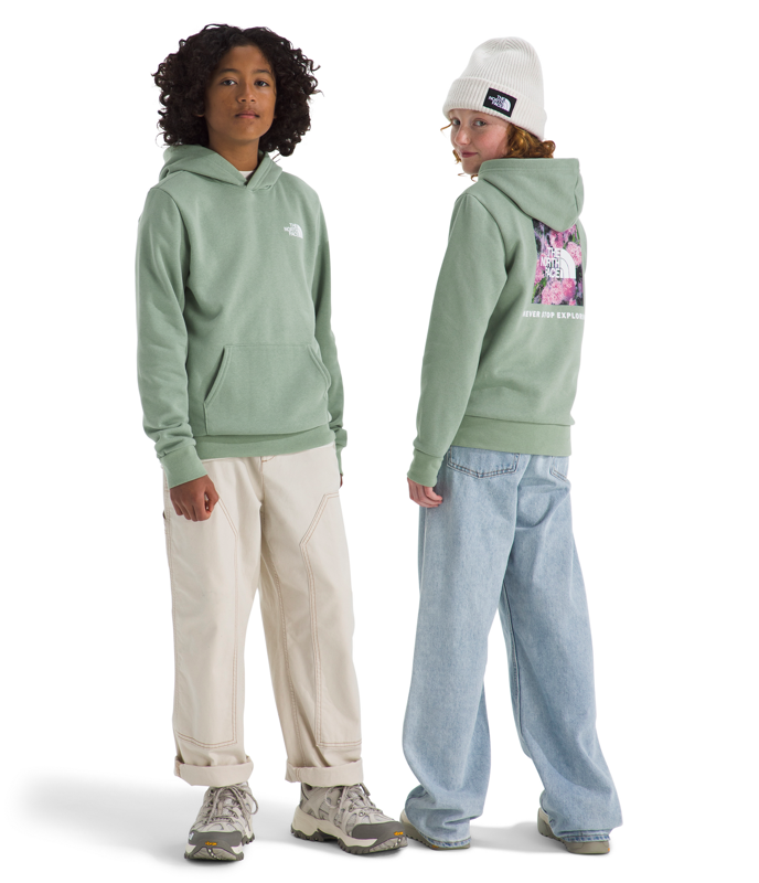 The North Face NF0A8CZC Teen Evolution NSE Pullover Hoodie-Graphic