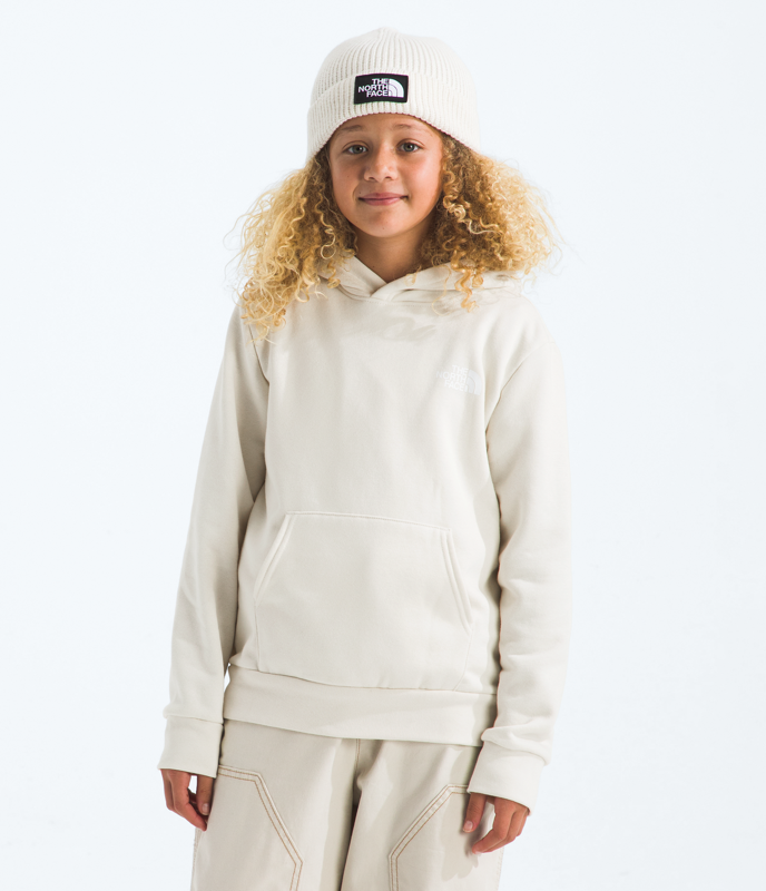 The North Face NF0A8CZC Teen Evolution NSE Pullover Hoodie-Graphic