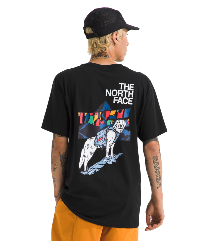The North Face NF0A8GS8 Mens Sunlit Summit Short Sleeve Tee