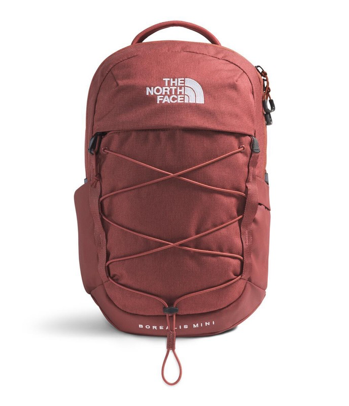 The North Face NF0A52SW Borealis Mini Backpack