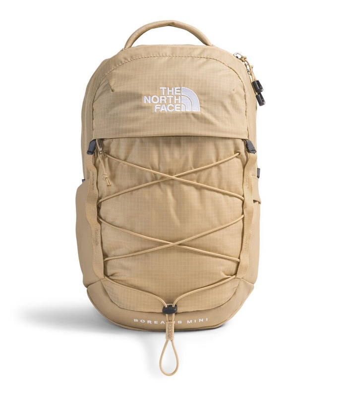 The North Face NF0A52SW Borealis Mini Backpack