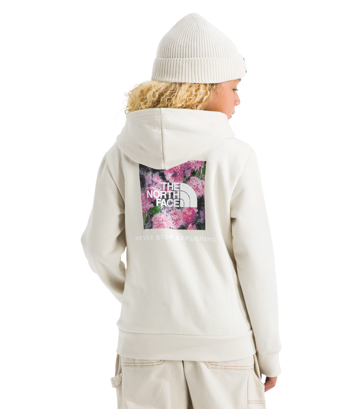 The North Face NF0A8CZC Teen Evolution NSE Pullover Hoodie-Graphic