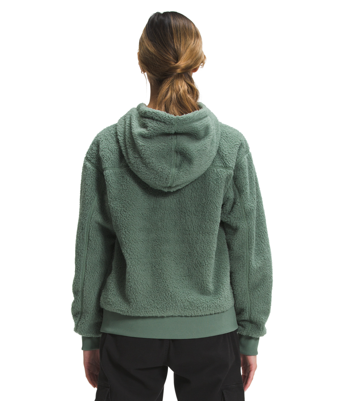 TNF-NF0A5AAM W'S DUNRAVEN HOODIE