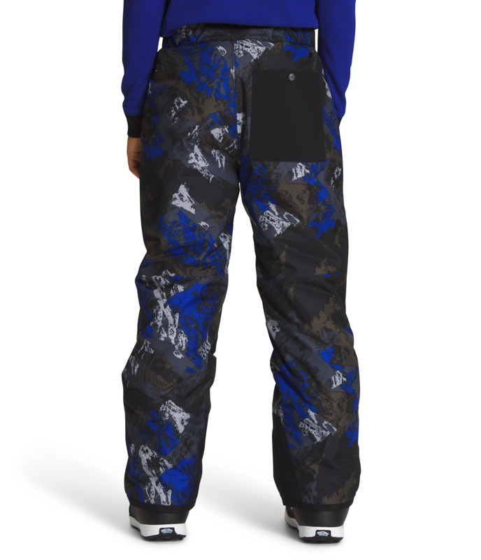 THE NORTH FACE Boy's Freedom Insulated Pants